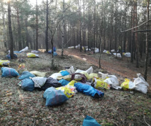Hałda śmieci w wielkopolskim lesie