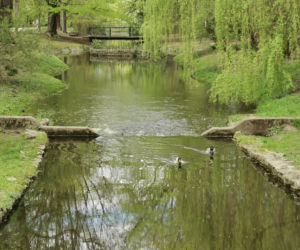 Park Miejski w Kaliszu 