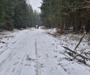 Makabryczny kulig. Sanki z dziećmi uderzyły w bryłę śniegu. 8-latek stracił kciuk [ZDJĘCIA]