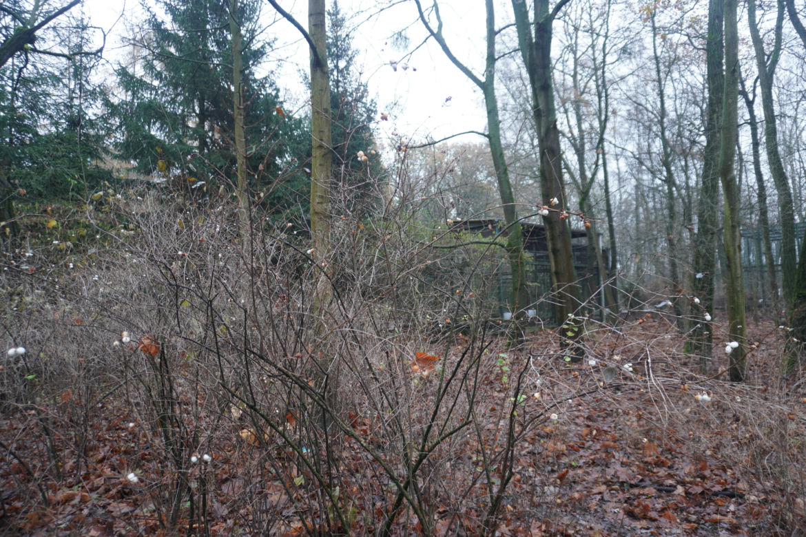Zoo w Poznaniu zimą