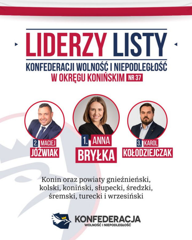 Kim jest  Anna Bryłka? 