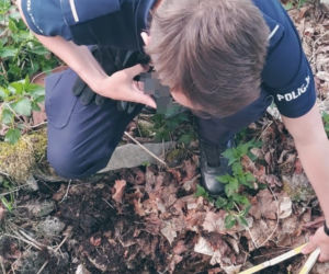 Nowy Kościół ewakuowany. Groźny niewybuchy znalezione podczas porządków