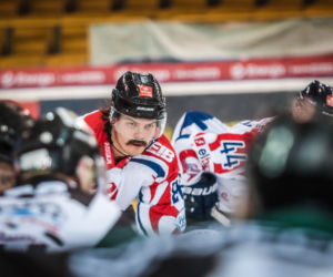 KH Energa Toruń - GKS Tychy, zdjęcia z Tor-Toru