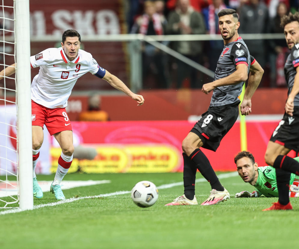 Polska - Albania: Robert Lewandowski