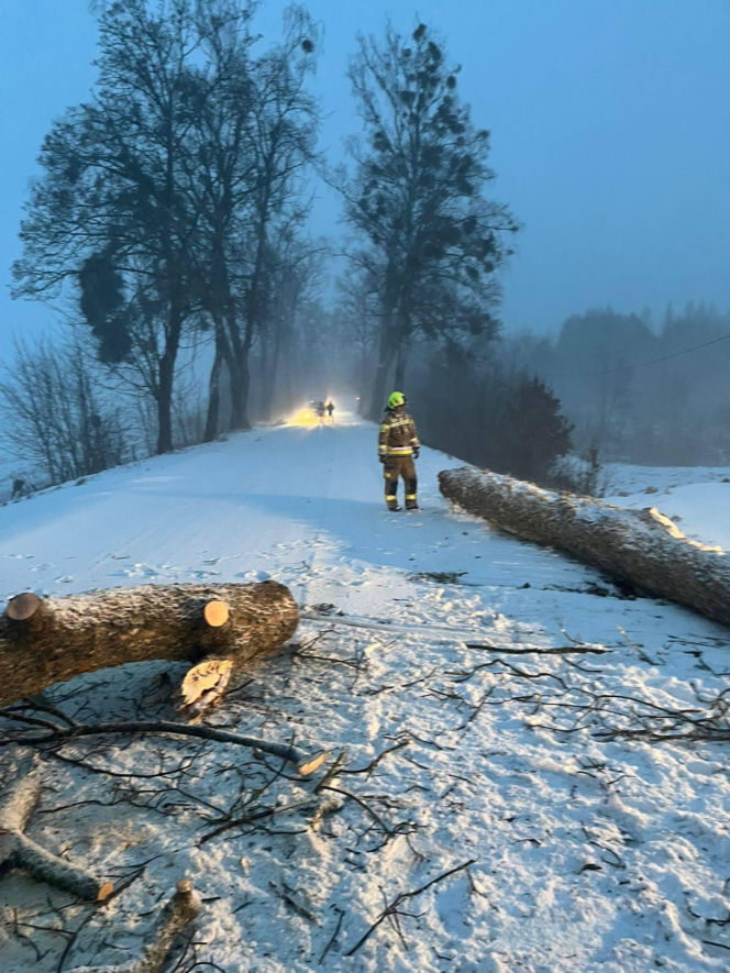 Wichura zniszczyła zabytkową kapliczkę przy sanktuarium