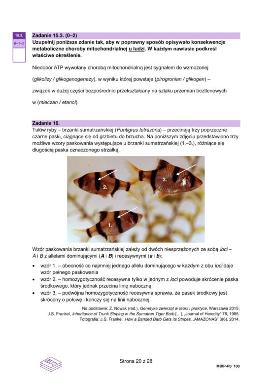 Matura 2024: biologia. Arkusze CKE i odpowiedzi. Poziom rozszerzony [Formuła 2023]
