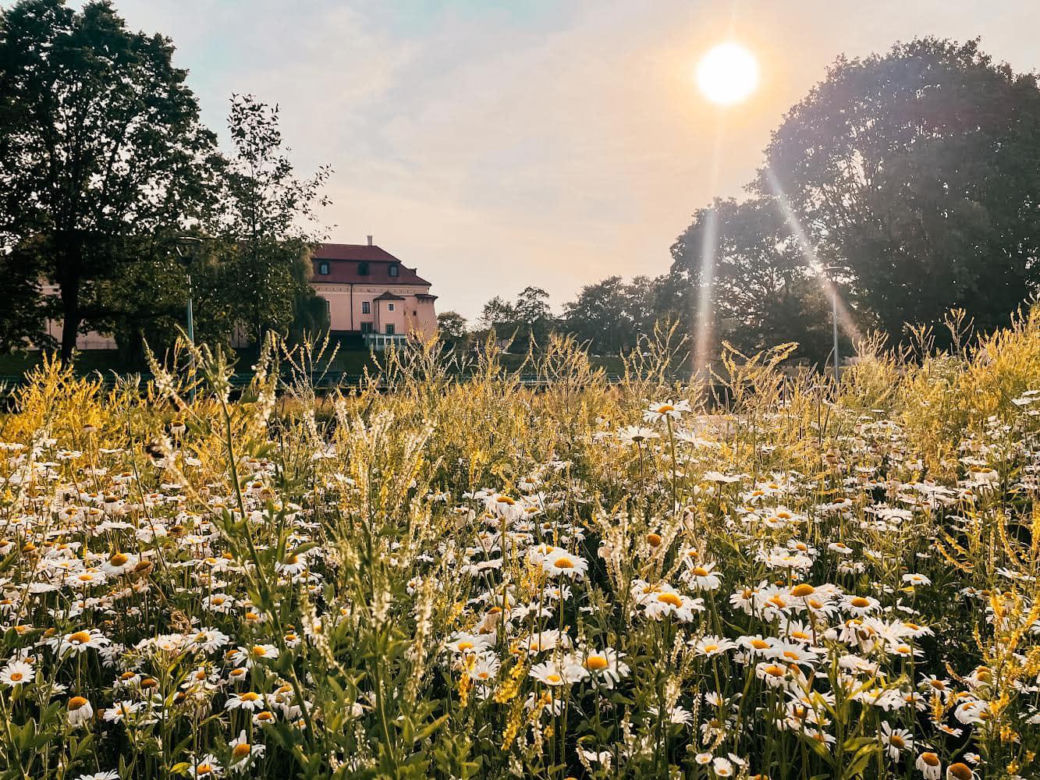 Małopolskie miasto, które przyciąga nowych mieszkańców. Zaludnia się najszybciej w regionie 