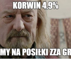 Wybory parlamentarne 2015 [MEMY]