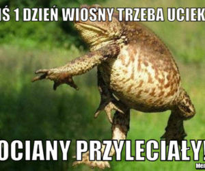 Dzień Wagarowicza 2020. Zobacz śmieszne MEMY na pierwszy dzień wiosny