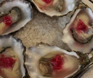 Dua Lipa w Warszawie