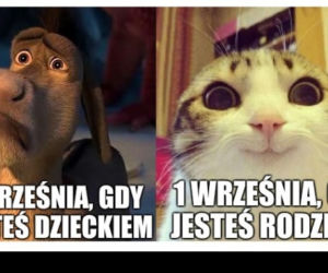 Memy o szkole 2020. Nauka u dobie koronawirusa. Żarty z nowej sytuacji 
