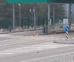 Satrapa Białorusi sieje śmierć, spustoszenie, głód i strach