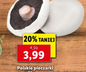 Majówka  - ostanie promocje w Lidli