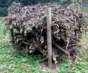 Stosy biocenotyczne w szczecińskich parkach