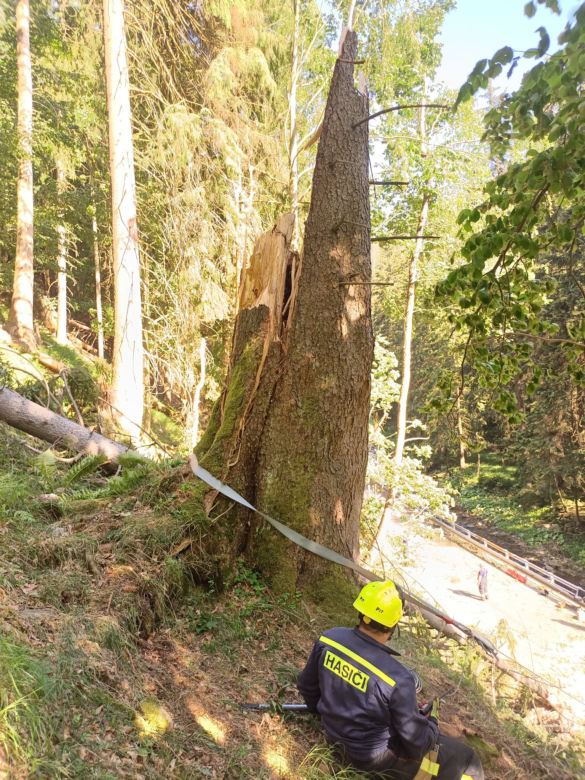 Świerk spadł na opla w Karkonoszach. W śmiertelnym wypadku zginął 15-latek i dwie kobiety