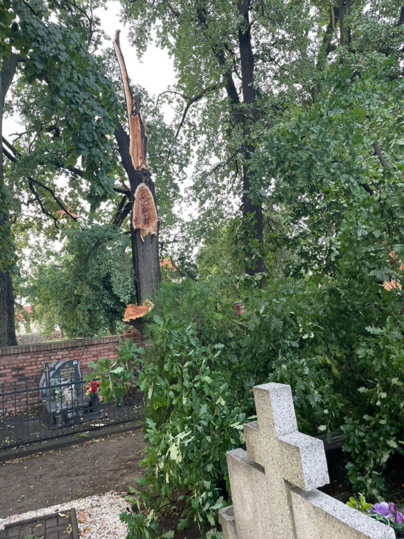 Powalone drzewa zniszczyły cmentarz i miażdżyły samochody