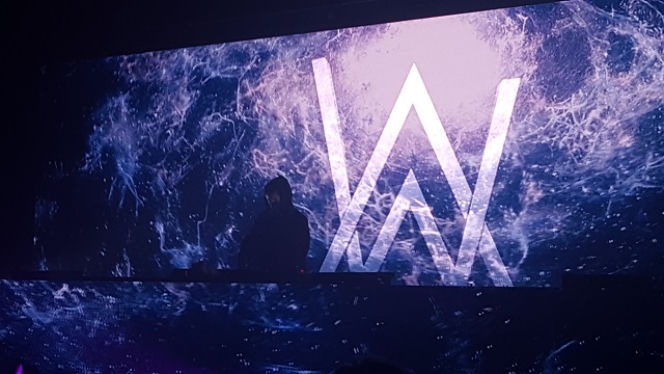 Alan Walker w Polsce - koncert, którego się nie zapomina! [VIDEO + FOTO]