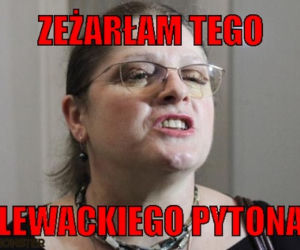 PYTON W MEMACH