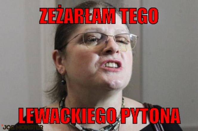 PYTON W MEMACH