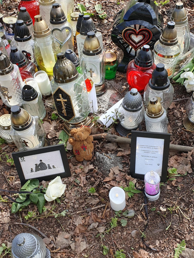 Miejsce wypadku Łukasza Litewki