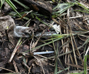 13-letni Mikołaj zginął nad jeziorem. xxx Śledczy mówią o brutalnym pobiciu