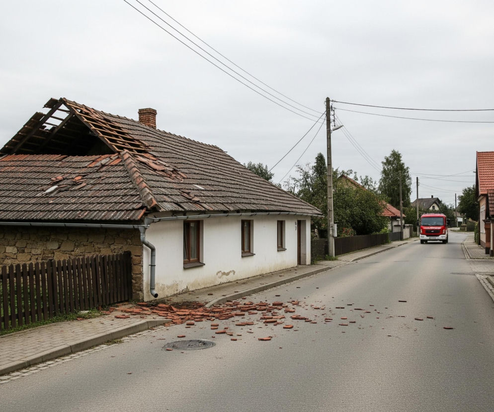 Na pierwszym planie, po lewej stronie drogi, widać dom z białymi ścianami i częściowo zniszczonym, brązowym dachem pokrytym dachówką, z której część leży rozrzucona na chodniku i ulicy. Zniszczenia dachu ujawniają drewniane krokwie i otwartą przestrzeń poddasza. Obok domu znajduje się kamienny mur i ciemnobrązowy płot, za którym rosną drzewa. Na środku asfaltowej ulicy rozrzucone są liczne fragmenty dachówek, a dalej, na prawym pasie, widać zbliżający się czerwony samochód straży pożarnej. Po prawej stronie ulicy wznosi się beżowy budynek z białymi oknami, a za nim widać kolejne domy z czerwonymi dachami, wszystkie pod pochmurnym, jasnoszarym niebem.