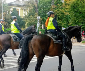 3. Szczeciński Marsz Równości