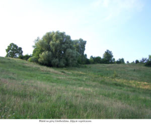 Wigancice Żytawskie