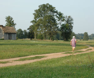 Magiczne Podlasie