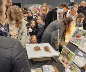 Egzotyczny świat zawitał do Bydgoszczy! Pająki i węże były na wyciągnięcie ręki