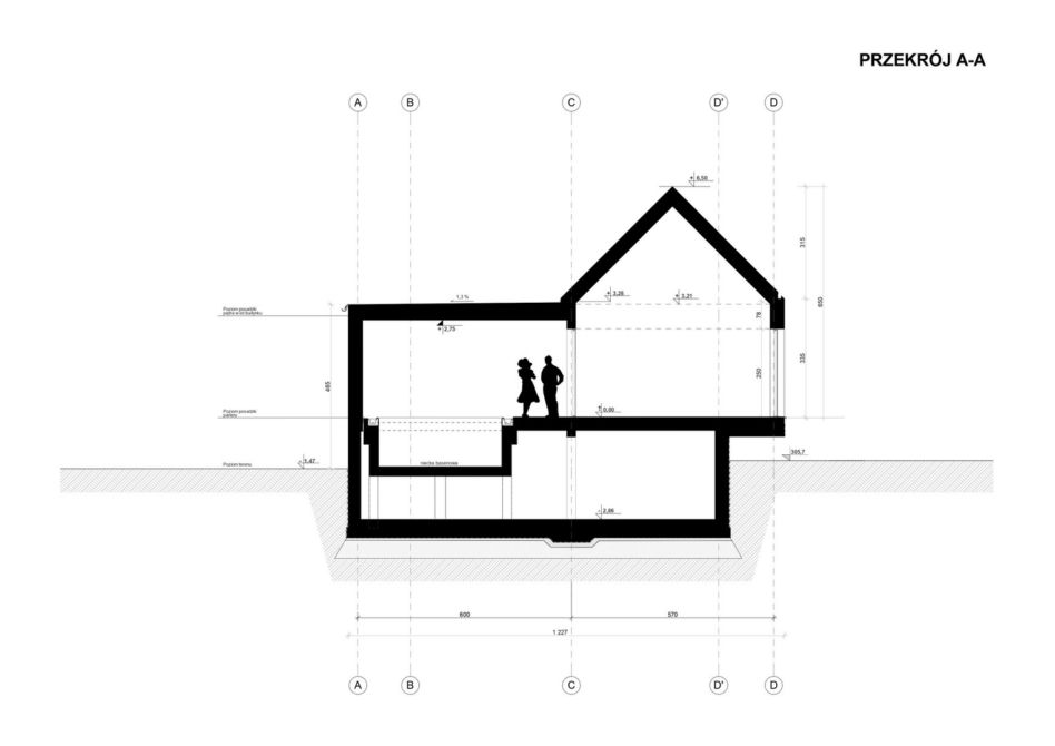 Dom lewitujący projektu KA Architekci