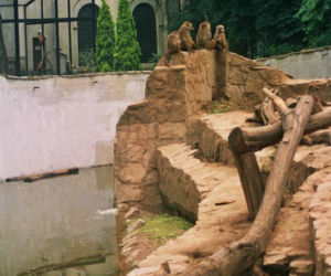 Zabezpieczanie zoo przed powodzią w 1997 roku