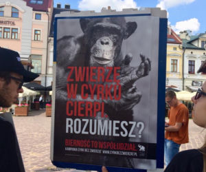 Happening w obronie zwierząt w cyrku [ZDJĘCIA]