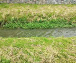 Sytuacja hydrologiczna w Tarnowie. Czy grozi nam powódź?