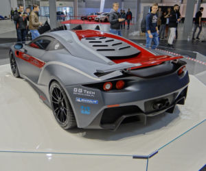 Arrinera Hussarya 