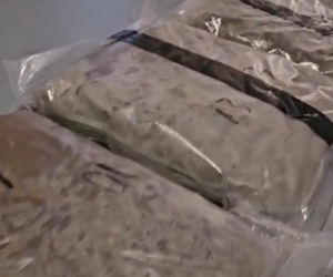 Policja przejęła 49 kg marihuany