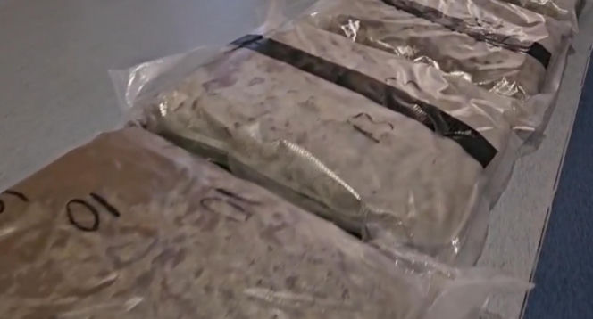 Policja przejęła 49 kg marihuany