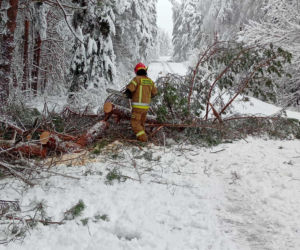 Pierwszy atak zimy na Zamojszczyźnie. Strażacy mieli pełne ręce roboty