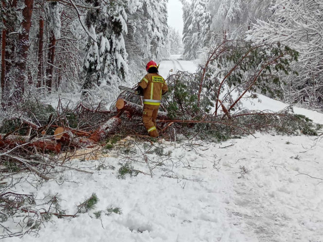 Interwencje strażaków po pierwszym ataku zimy  na Zamojszczyźnie