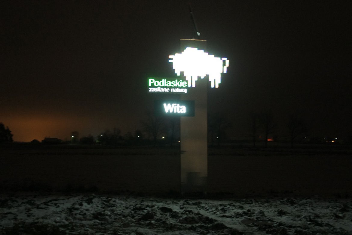 Pikselowy żubr przy S8. Wita wjeżdżających do woj. podlaskiego [ZDJĘCIA]