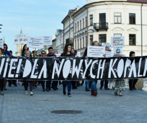 „Nie” dla kopalni na Polesiu. Pikieta w centrum Lublina