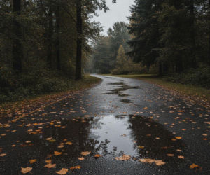 Weekend w Gorzowie Wielkopolskim ma jeden słabszy moment. Prognoza pokazuje ważny szczegół