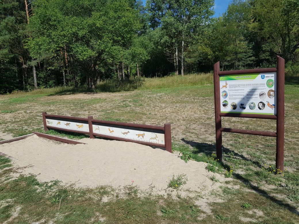 Wieża widokowa w Uhowie. To najwyższa wieża na Podlasiu [ZDJĘCIA]