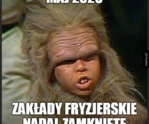 Fryzjerzy na kwarantannie: MEMY. W oczekiwaniu, kiedy otworzą salony fryzjerskie