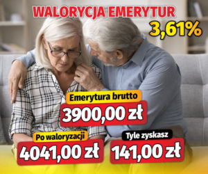 Waloryzacja