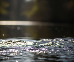 Zakończone poszukiwania 37-latki z Włodawy. Co wydarzyło się nad rzeką Włodawką?