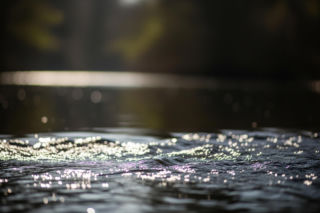 Zakończone poszukiwania 37-latki z Włodawy. Co wydarzyło się nad rzeką Włodawką?