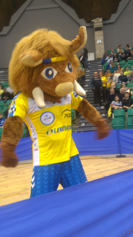 Orlen Wisła Płock - PGE Vive Kielce