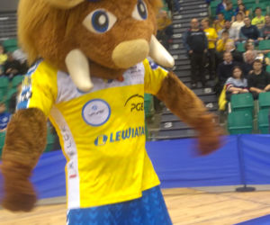 Orlen Wisła Płock - PGE Vive Kielce