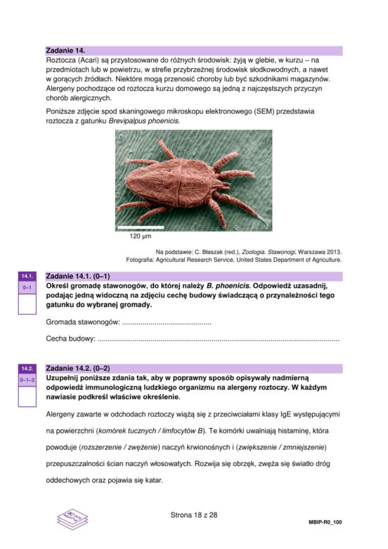 Matura 2024: biologia. Arkusze CKE i odpowiedzi. Poziom rozszerzony [Formuła 2023]
